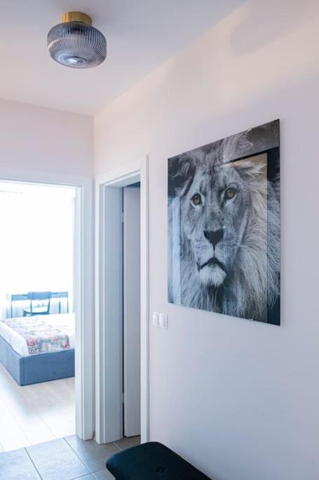 Tokiyo: A Lovely City Center 2 Bedrooms Apartment With Private Parking Sofia Exterior photo